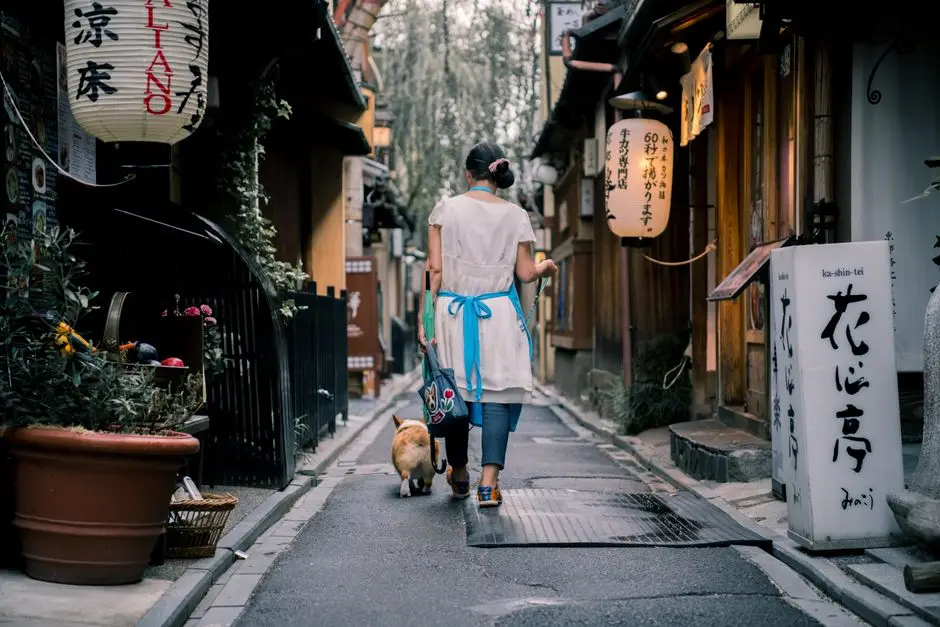 o que fazer em kyoto